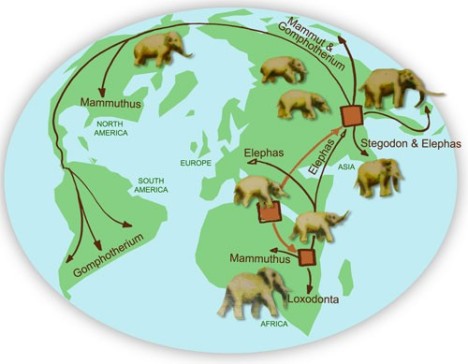 elephant-around-world